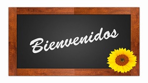 bienvenidos 1